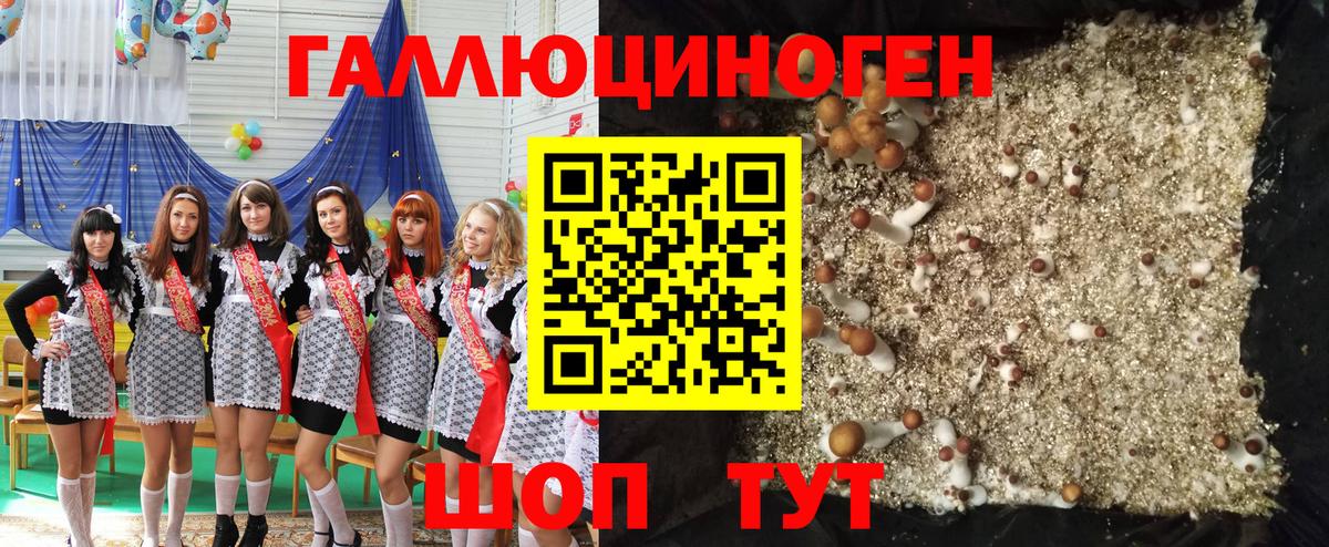 где можно купить   Вход с VPN  Псилоцибиновые грибы ЛСД  Нарткала  Псилоцибиновые грибы GOLDEN TEACHER 